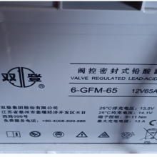 ˫ ܱʽǦ 6-GFM-65 (C20)