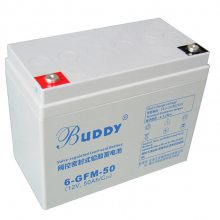 BUDDY GFM-1000 ֱ2V1000AH  UPSӦ