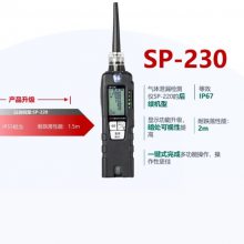 ձRIKEN KEIKIмSP-230Яʽȼй©