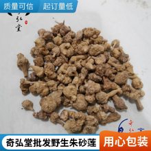 朱砂莲/牛血莲/躲蛇生深山采挖野生药材地道全国批发奇弘堂