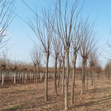 7ֺ컨̻-17ֺ컨̻-ľҵ-ָ