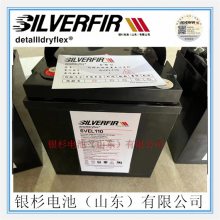 ԭװSILVERFIRɼ2VEL300  UPS2V-300AH