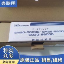 EM30-S6000 日本中西品牌 标准一体式直型电动马达主轴