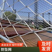 喷塑金属建筑施工安全防坠网 辰正工地爬架防护网蓝色钢板网