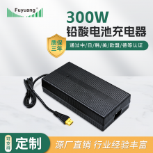 福洋Fuyuang 300W系列铅酸蓄电池电池充电器 过流保护 厂家直供