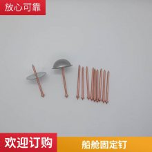 镀铜焊钉 船用碰钉 钉尖盖帽 保温销钉 船仓保温棉钉将军帽