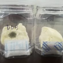 ���������_�Ҿ߳�����_�¹������_��������