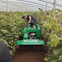 新型果园机械履带除草机简直是农民的好帮手