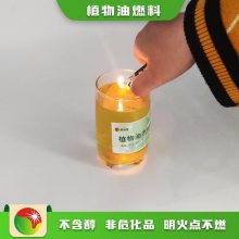 普洱镇沅厨房植物油燃料煲仔炉厂商 墨江生物无醇燃料猛火灶制造商