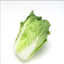 СŰײ_дײ˳ڻ