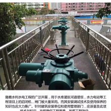 陕西商洛螺杆式闸门启闭机延安水利河坝铸铁闸门加工厂
