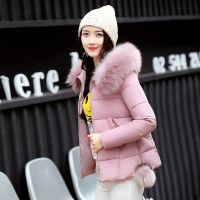 2018Ů̿ѧ׿޷Ůβ
