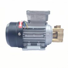 WD-021S-150/200铜泵头高温泵 小型高温泵沃德