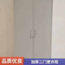 大空间现代简约钢制二门更衣柜 家庭用防火防磁两层置物柜