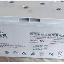 ˫ ܷʽǦά 6-GFM-120C20