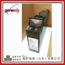 ŵ˹Genesis12TD100F4ͨѶ豸 UPS12V-100AH