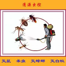 ԴأʳƷۺϳ溦鳧 溦Ʒ