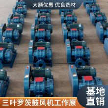三叶罗茨风机罗负压风机污水处理鱼塘养殖增氧机增氧泵高压鼓风机
