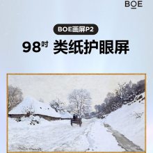 BOELZHY98P600 98Ӣʾ칫ֽ