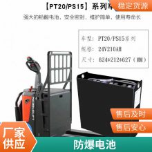 Ϸ6-FM-24 12V24AH ͨŵԴ
