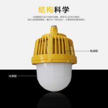 GCD616防爆平台灯LED油库防爆灯30W50W