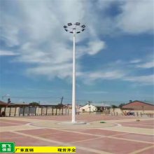 7米8米球场灯杆配灯具厂家直销 太阳能整套价格 球场灯杆厂家