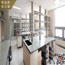 广东省广州市深圳东莞中山市实验室家具厂家实验室边台中央边台防酸碱理化台专业设计