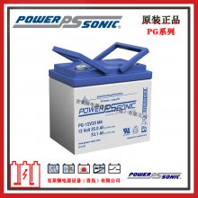 PowerSonicPG-12V65 B 12V65AH ʽVRLAǦά