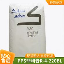 PPS R-4-220BL ǿ ͸ ۱