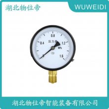 Y-100A-Z Y-101A-Z Һѹ ֿѹ WWD 