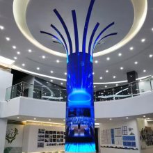 ʶ-װ