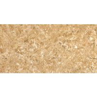 ڿʯש600*1200mm ҳͨʯש60x120cm