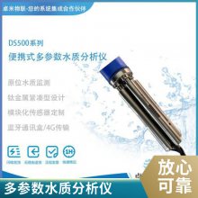 ˮؽ ๦̨ʽ DS500ˮʷ