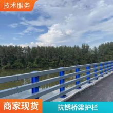 上兴镀锌喷塑高架桥围挡桥梁护栏 款式新颖防腐蚀可定做