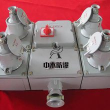 dip粉尘防爆电源插座箱厂家按图纸定做