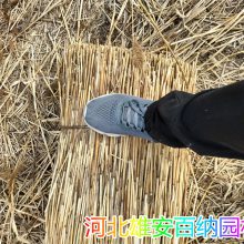 Ӧ ڼ«έ ʺ«έ «έ «έݶƷǮ