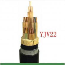 ʽϵ YJV220.6/1KV 3*70+1*35ͭоִװ