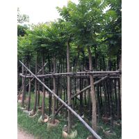ֱ-ͼ鬵繩Ӧ-鬴