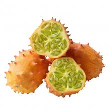 ǹ ι ιѽ ߲
