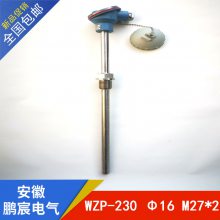 WZP2-231ưװ˫֧װȵ
