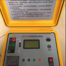 智能型高压数字兆欧表 型号:BA9-ZP2533库号：D239226