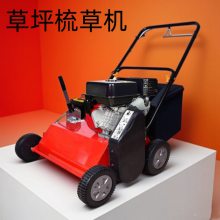 高效草坪梳草机 运动场草坪冲沙梳草一体机 汽油刷草机 草皮梳理机