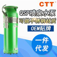 QS清水喷泉泵潜水泵 QSP40-28-5.5铸铁材质专用水泵 音乐喷泉泵厂家