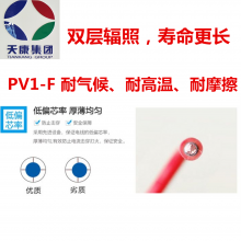 PV1-F 1*2.5 쿵