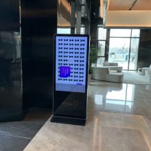ʽ 55ʽ 