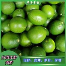 台湾无籽青柠苗_柠檬种植方法和注意事项
