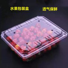 果蔬盒生产厂家 一次性水果塑料盒 水果拼盘透明盒子