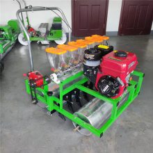 Ӧ˰ײСֻʽ۲˲ֻС͸