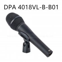 DPA 4018VL-B-B01 ֳֵݻͲ˷̨ݳֱKݻͲ