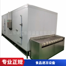 定制高效板带速冻机 TYW-350/550 休闲食品厂设备 SUS304不锈钢